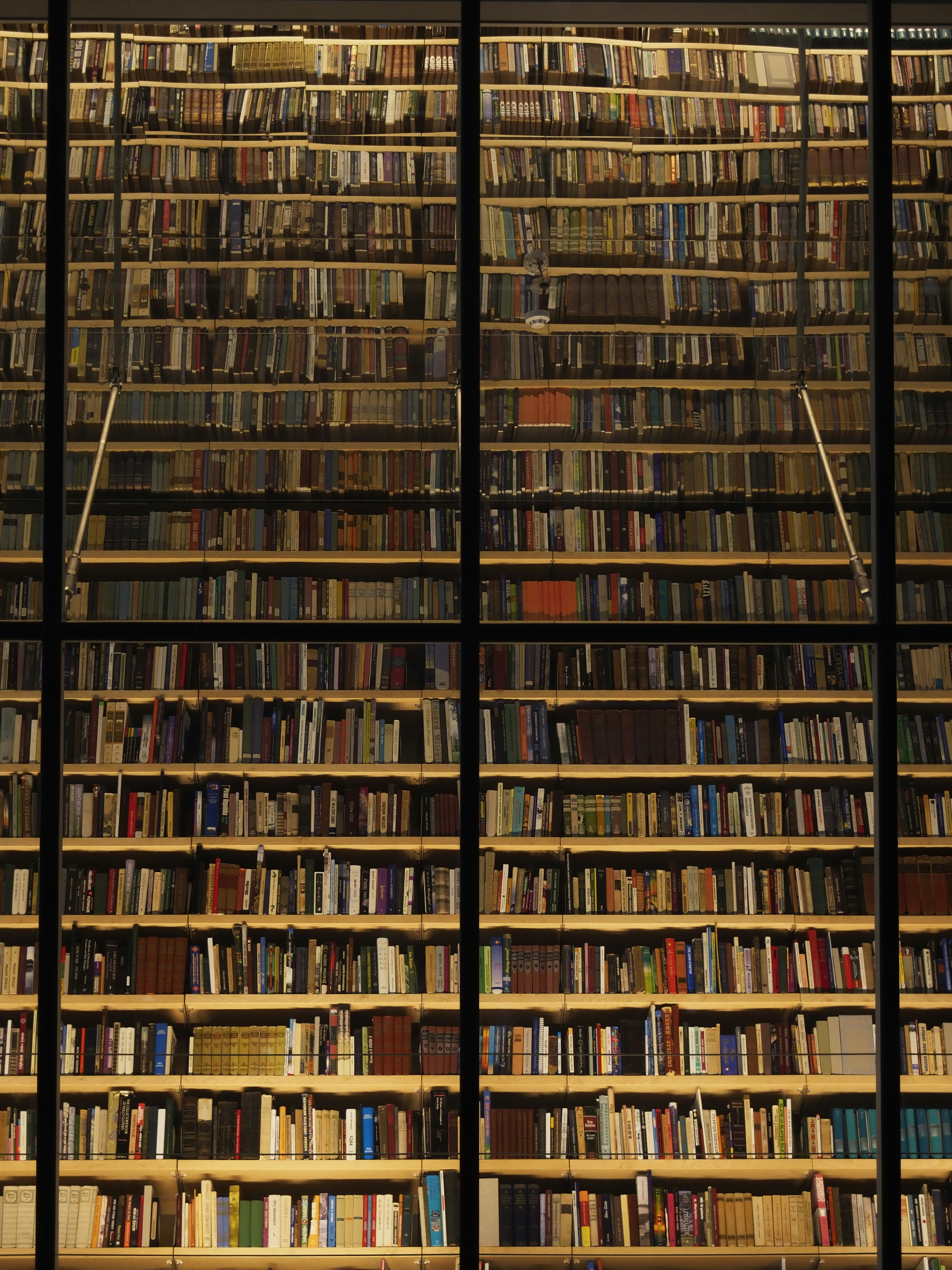 ���� �����